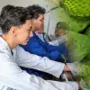 Estudiantes del Tec en Estado de México desarrollan bioplástico a base de nopal, una alternativa sustentable a los desechos tradicionales.