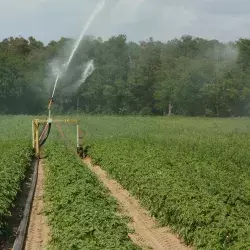 agricultura sustentable vs tradicional