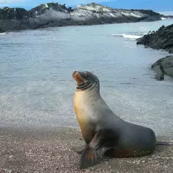 Agua en Ecuador