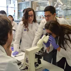 Escuela de Medicina y Ciencias de la Salud