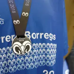 Carrera Borregos