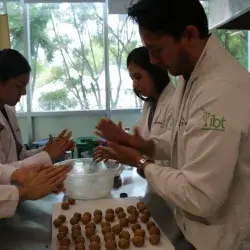 Alimento para migrantes