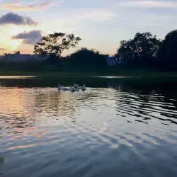 Jagüey en campus Tampico