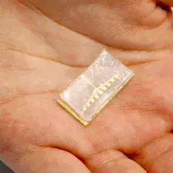 Un chip que detecte el cáncer, la apuesta de este estudiante mexicano