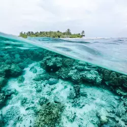 Arrecife de coral