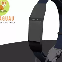 ¡Guau! Un collar que puede salvar la vida de tu mascota