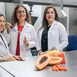 Investigadores del Tec incrementan el valor nutricional de la papaya