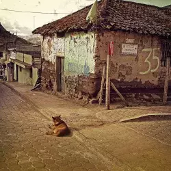 Campo Latinoamericano