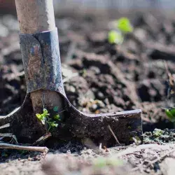 Crea fertilizantes orgánicos que reducen contaminantes en cultivos