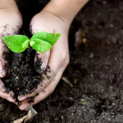 Grupo estudiantil Polinizadores cuidan el medio ambiente