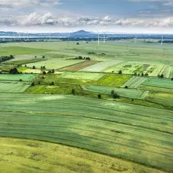 La industria alimenticia y los investigadores deben caminar juntos ante el reto