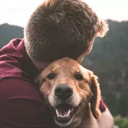 Amigos de 4 patas que te ayudan a tu estado físico y emocional