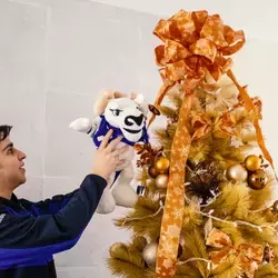 Alumno del Tec campus Toluca colocando peluche de Teus en árbol de Navidad