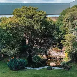 Conoce el Bosque Mágico del Tec campus Cuernavaca en medio del edificio principal