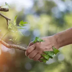 ¿Qué puedes hacer tú para cuidar el medio ambiente?