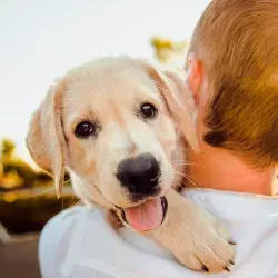 Este 14 de febrero también se celebra el amor hacia nuestras mascotas