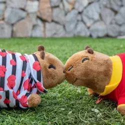 Capibaras de peluche