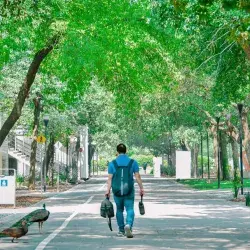 Tec de Monterrey, Monterrey campus