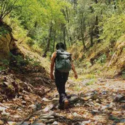  EXATEC de Arquitectura formó parte del equipo del Tec que presentó una iniciativa de “laboratorios vivos” en la Bienal de Venecia. 