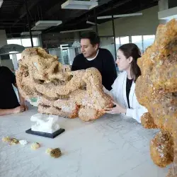 Futuro de la arquitectura en Bienal de Venecia, en el que participaron estudiantes del Tec Guadalajara. 