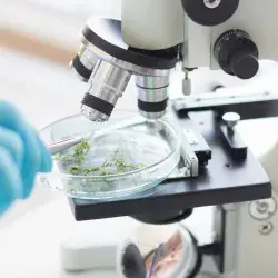The startup transforming plants into compounds arrives in Tokyo