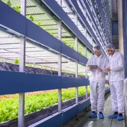 El Tec de Monterrey campus Querétaro concluye programa ARISE de vinculación agroalimentaria.