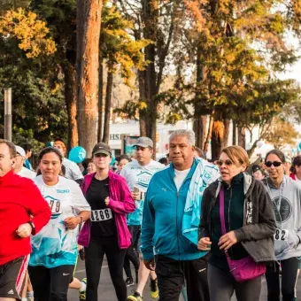 Carrera techo