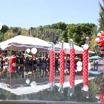 Feria de San Valentín Profesional.