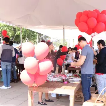 Feria de San Valentín Profesional.