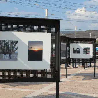 Hidalgo a través del Arte