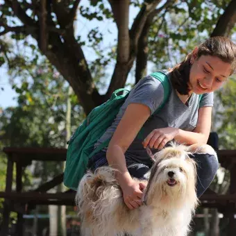 Las mascotas disfrutando del campus