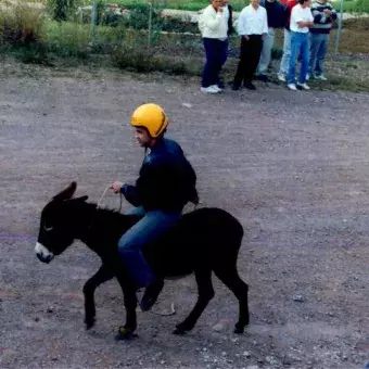 Carrera de burros.