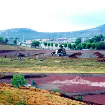 Cancha empastada .