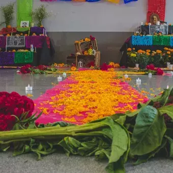 Muertec se lleva a cabo en la preparatoria del Tecnológico de Monterrey campus Toluca para celebrar el Día de Muertos