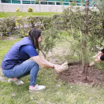 Alumnos arrojando tierra a uno de los arboles del jardín de las carreras