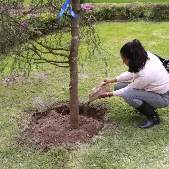 Alumnos siendo parte del jardín de las carreras