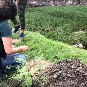 Preparando la tierra para ser plantada.