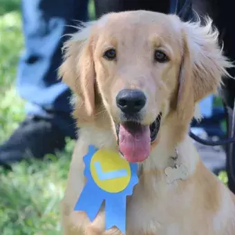 Bruno recibió un reconocimiento durante la actividad.