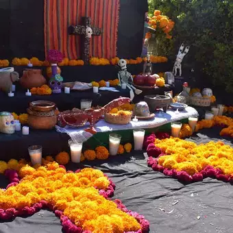 Fiesta de Humanidades en PrepaTec Guadalajara celebra el Día de Muertos.