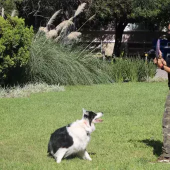 La maestra Rocío y su perro "Jack" posando para una foto.