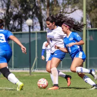 Borregos Intercampus 2022, encuentro deportivo del Tec, realizado en campus Guadalajara.