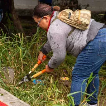 Voluntarios realizan mejoras en áreas verdes de las escuelas públicas.