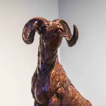 Exposición: 20 años de crear memoria