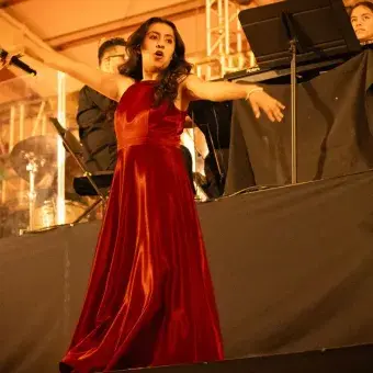 Alanis cantante Arte y Cultura