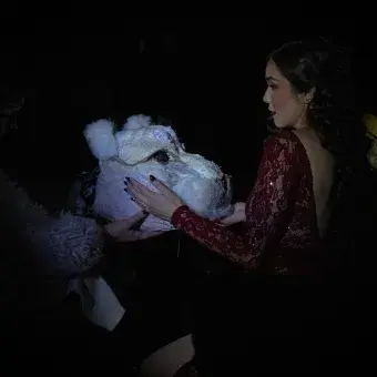 Puesta en escena El Circo sin Bestias