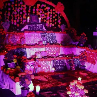 La PrepaTec Cuernavaca celebró la duodécima edición del Festival Omeyocán, inspirado en el Virreinato, con muestras gastronómicas, ofrendas, arte y música que unieron tradición, historia e innovación.