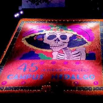 Vista aérea de catrina monumental.