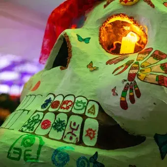 Exhibición de cráneos monumentales.