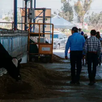 En el marco del Día del Agrónomo, el Campo Agropecuario Experimental (CAETEC) del Tec en Qro se posiciona como un laboratorio vivo donde la IA ya forma parte del trabajo diario en el campo. 