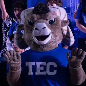 Teus